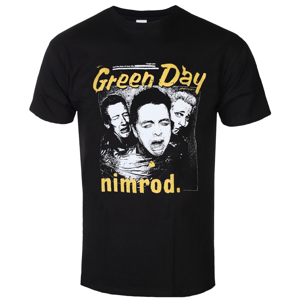 Green Day Distressed Faded Ban - đánh giá và giá Band Tee Faded 90S